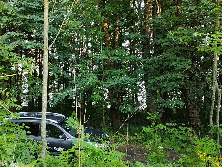 Prodej pozemku, 2 024 m² (17 z 31)