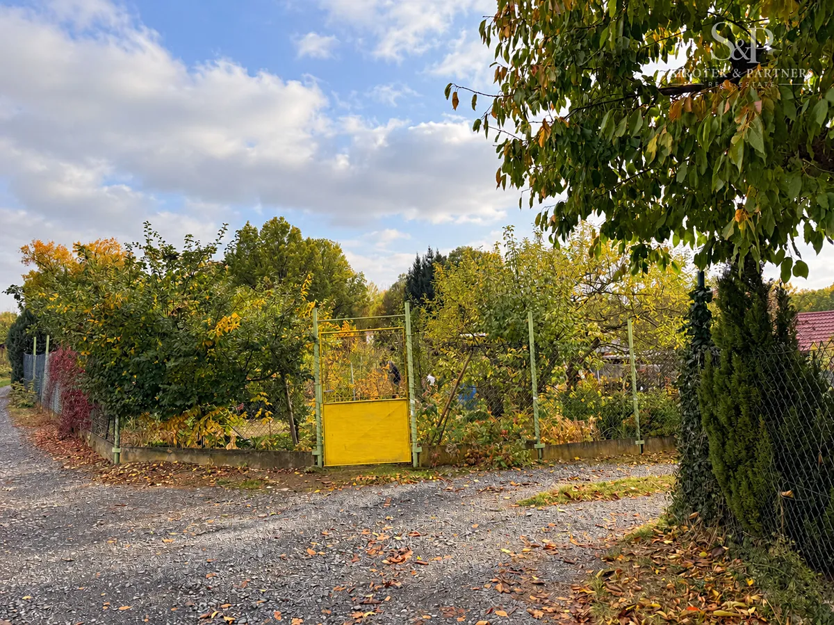Fotka 7 z 8