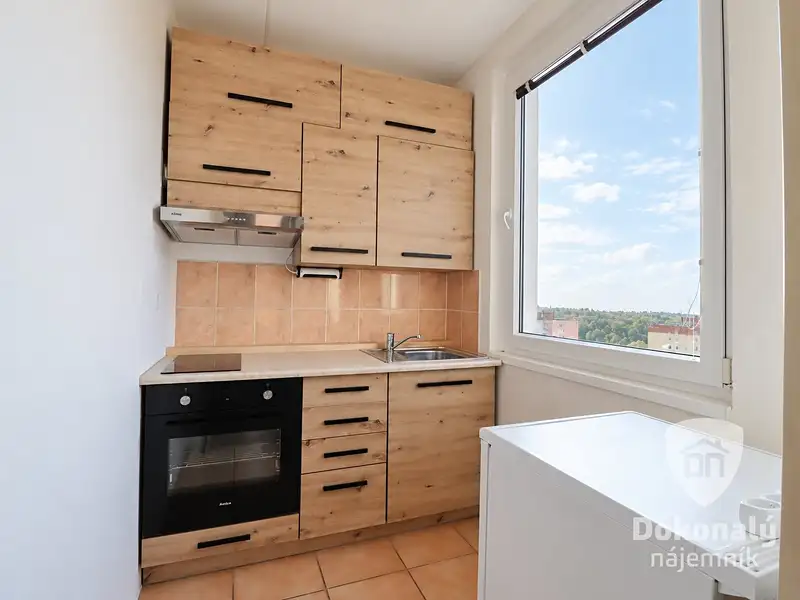 Pronájem bytu 1+1 30 m², Praha – náhled fotky 2