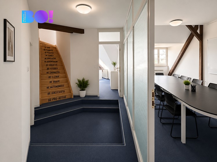 Gewerbefläche zur Miete, 300 m² (6 von 23)