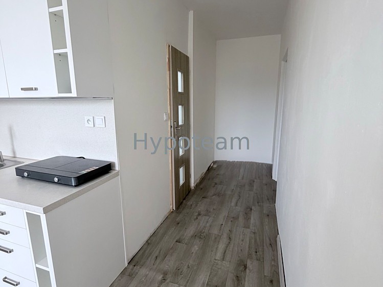 Pronájem bytu 1+1, 42 m² (14 z 19)