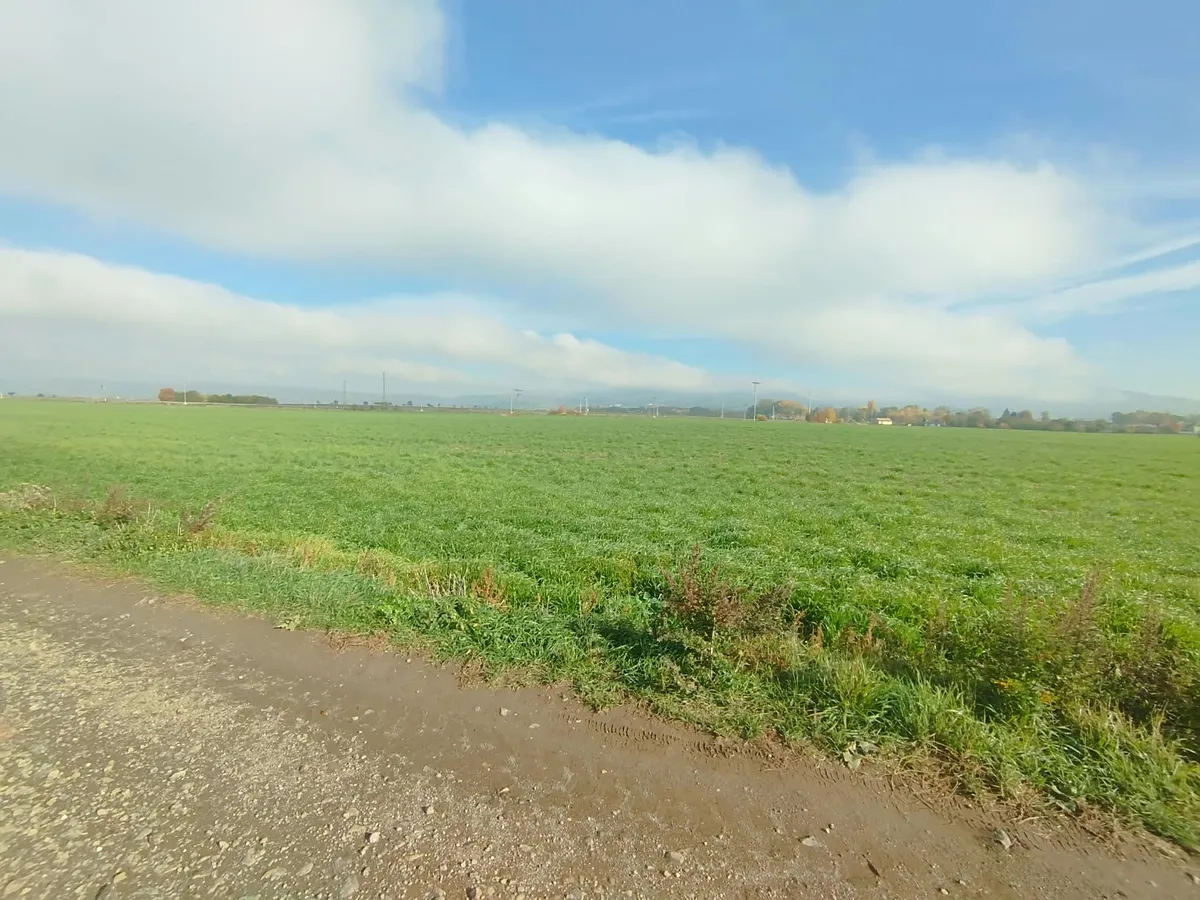 Prodej pole 30107 m²