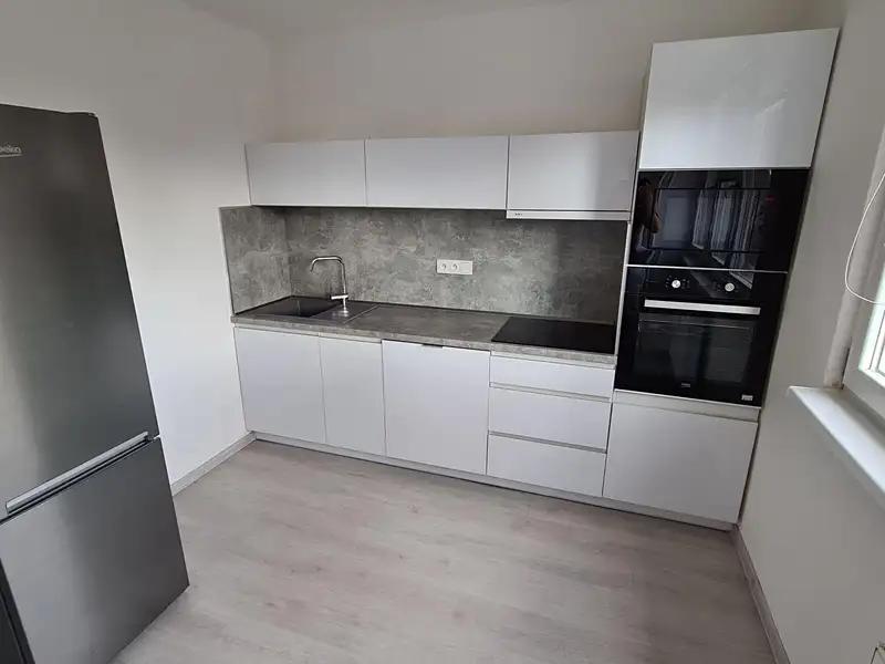 Pronájem bytu 1+1 45 m², Ostrava – náhled fotky 1