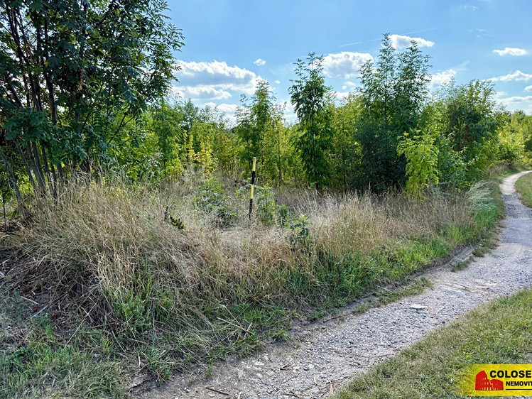 Ostatní