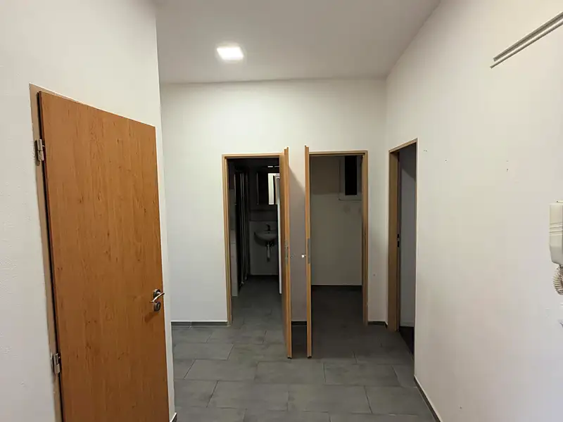Pronájem bytu 3+kk 75 m², Plzeň – náhled fotky 3
