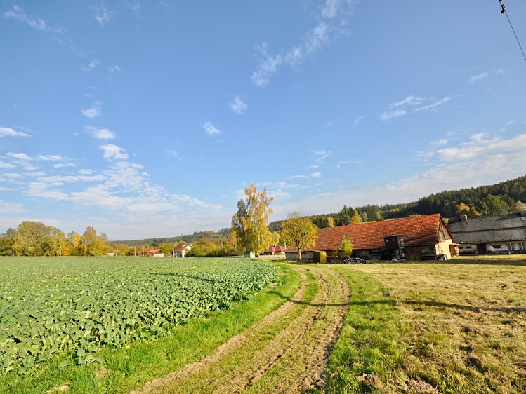 Prodej domu, 250 m² (4 z 11)
