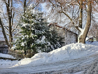 Gewerbefläche zum Kauf, 353 m² (3 von 12)
