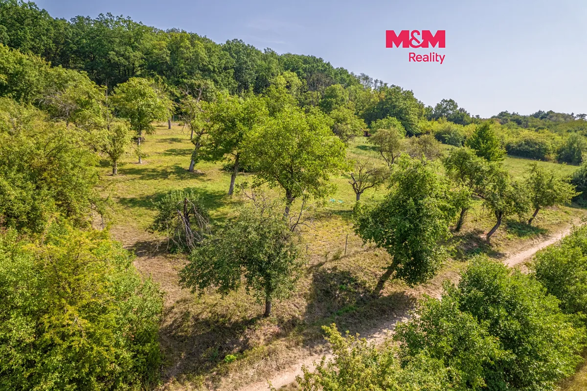 Prodej zahrady 3166 m²