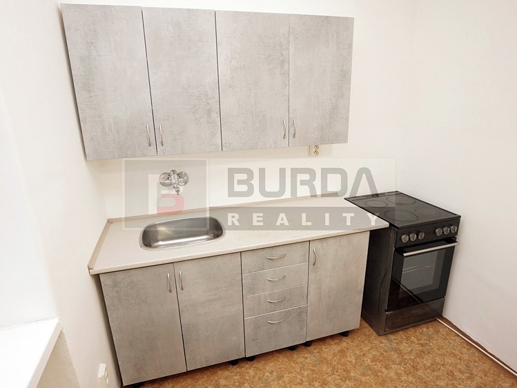 Pronájem bytu 1+1, 30 m² (4 z 21)