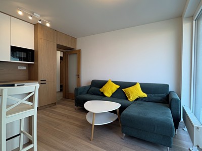 The 2+kk flat for rent, 43 m² (3 of 19)
