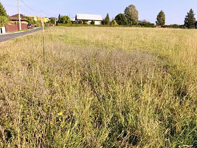 Ділянка на продаж, 1 300 м² (1 з 5)
