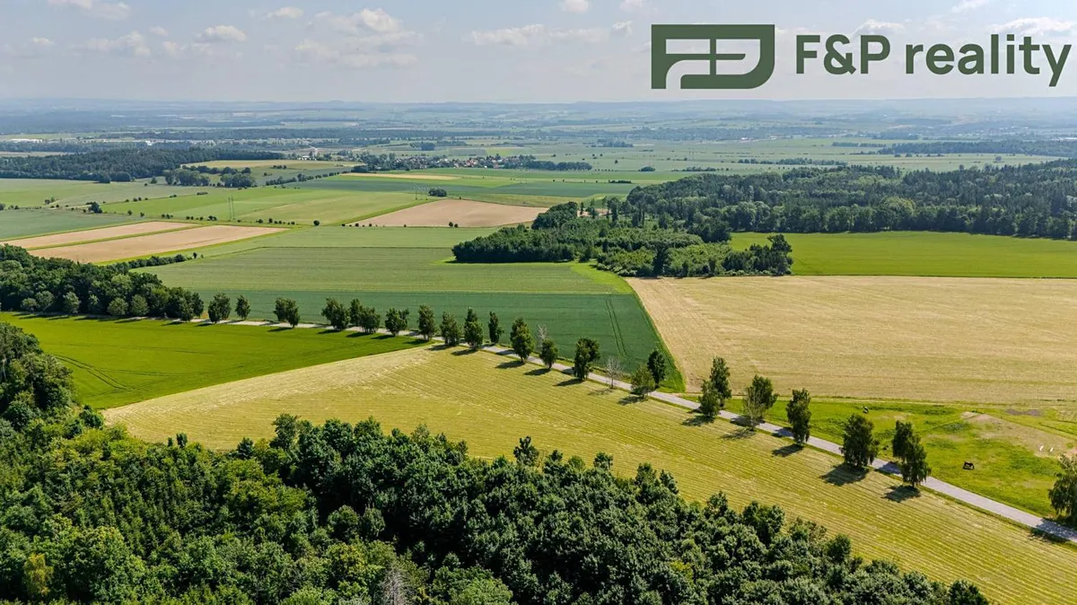 Fotka 19 z 20
