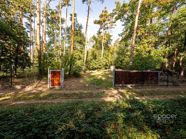 Ділянка на продаж, 1 300 м² (7 з 30)
