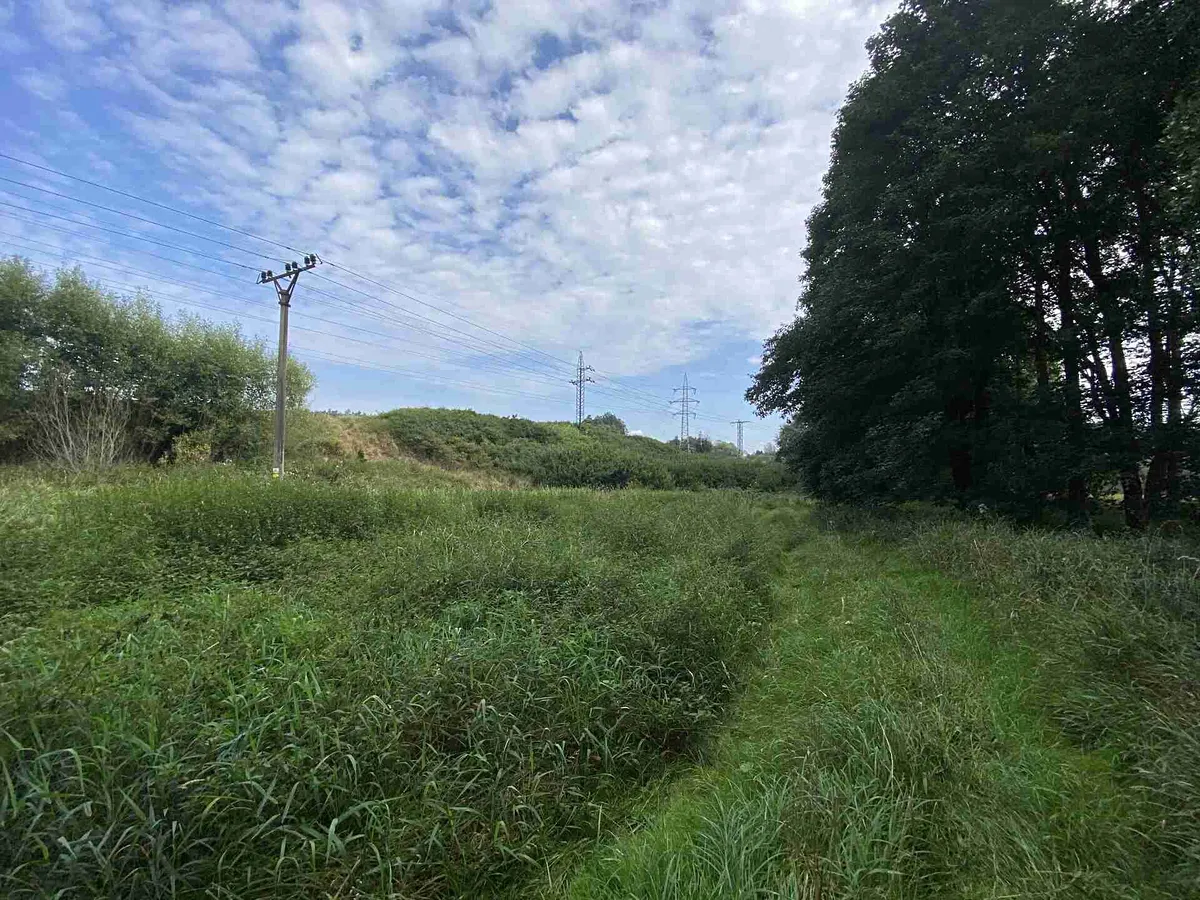 Prodej pole 2776 m²