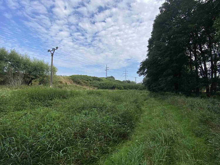 Grundstück zum Kauf, 2.776 m² (1 von 14)