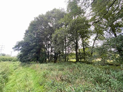 Grundstück zum Kauf, 2.776 m² (2 von 14)