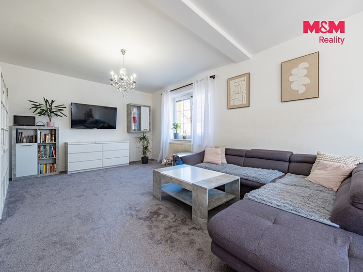Будинок на продаж, 370 м² (4 з 30)
