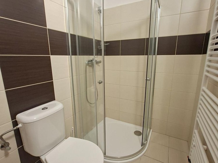 Pronájem bytu 1+1, 30 m² (8 z 14)