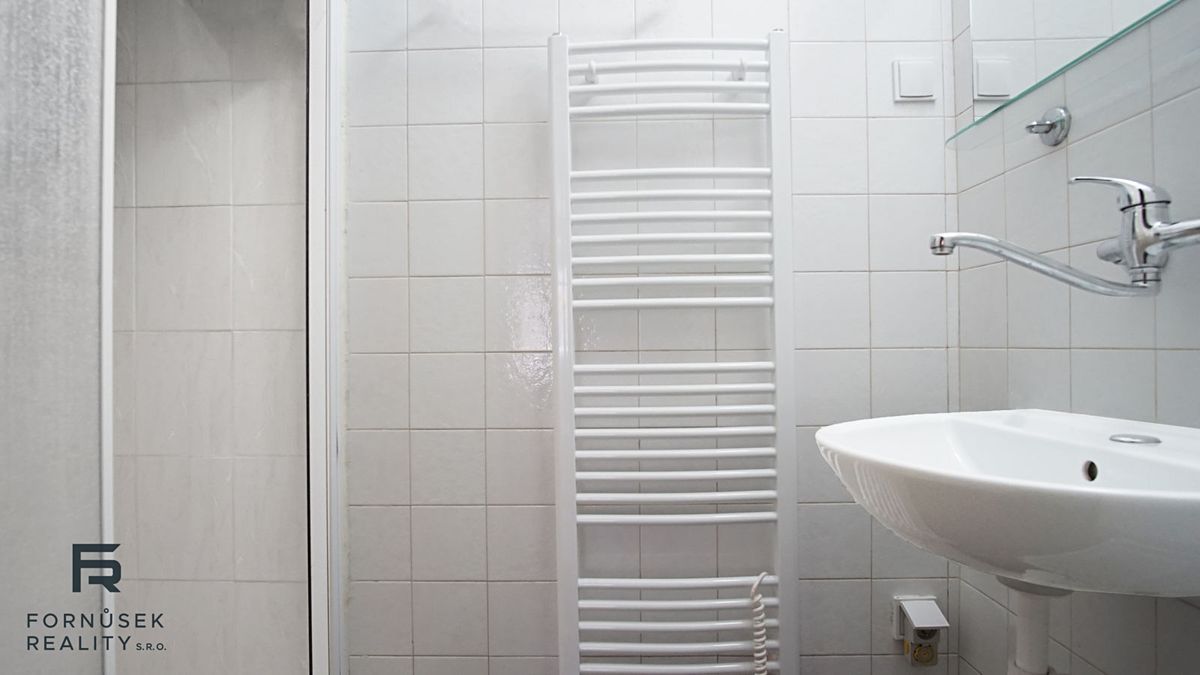 Pronájem bytu 1+1 40 m² – fotografie 5