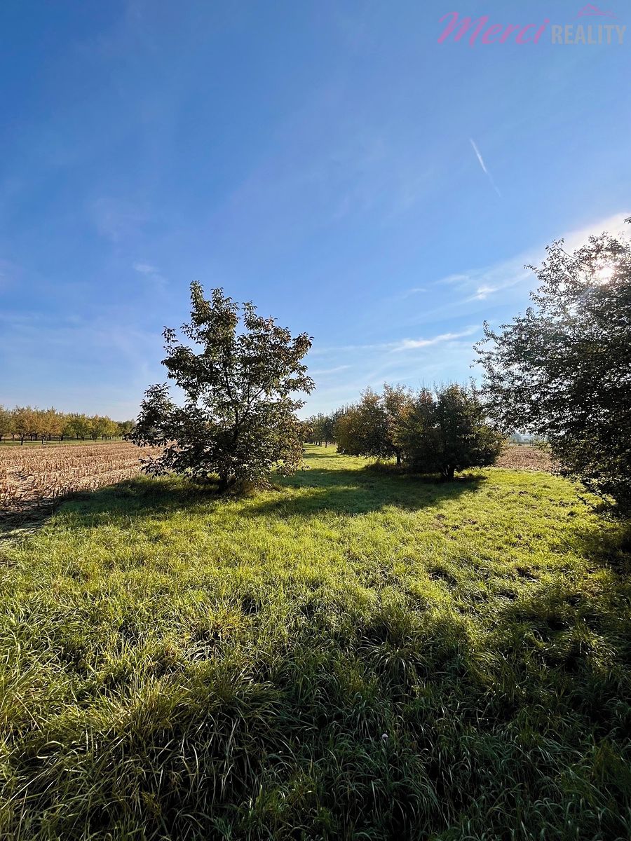Prodej zahrady 448 m², Veselí nad Moravou – fotka 1 z 3
