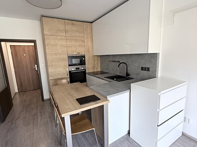 Pronájem bytu 1+kk, 31 m² (2 z 12)