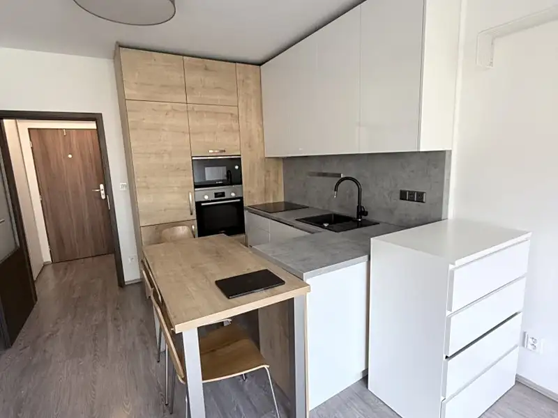 Pronájem bytu 1+kk 31 m², Praha – náhled fotky 2