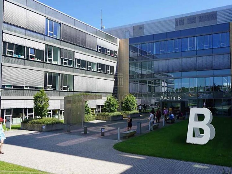 Pronájem komerčního prostoru, 500 m² (5 z 6)