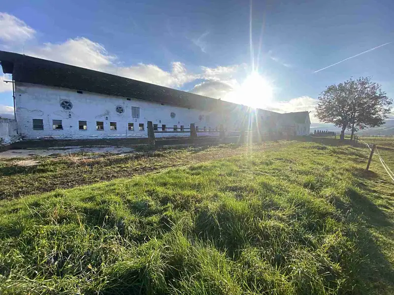 Prodej pozemku 11405 m², Králíky – náhled fotky 3