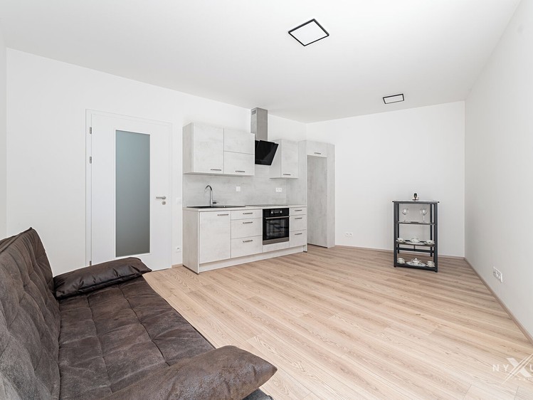 Квартира 1+kk в оренду, 30 м² (2 з 14)