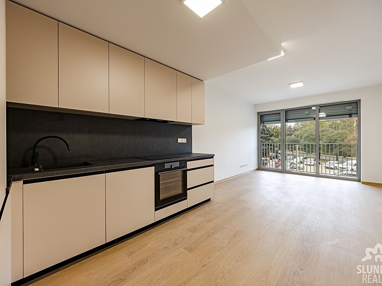 Wohnung 1+kk zur Miete, 56 m² (1 von 9)