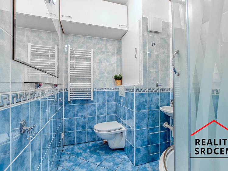 Pronájem bytu 1+1, 37 m² (10 z 16)