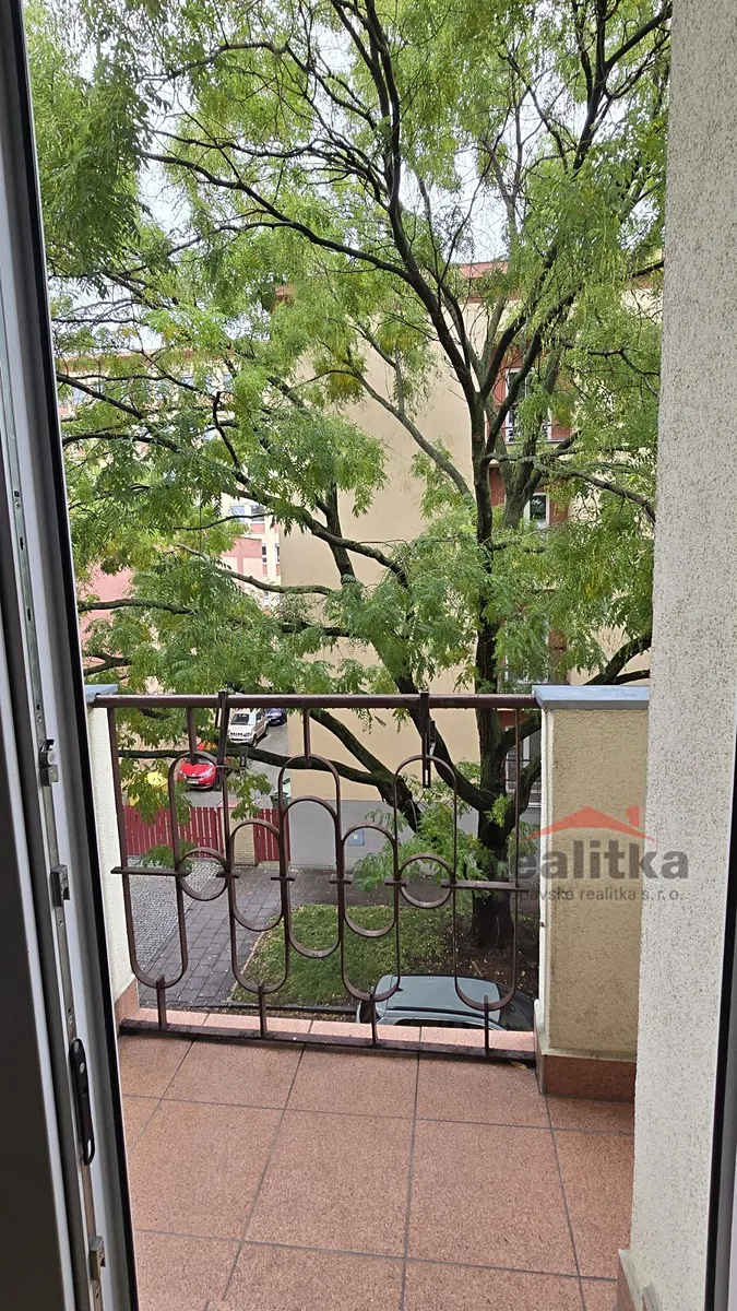 Fotka 6 z 15