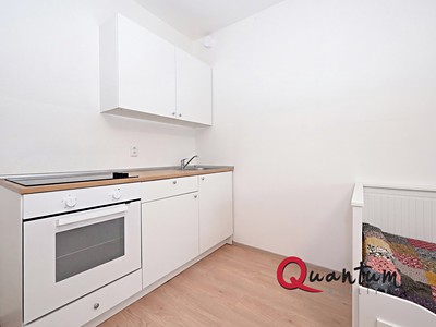 Wohnung 2+kk zur Miete, 53 m² (3 von 17)