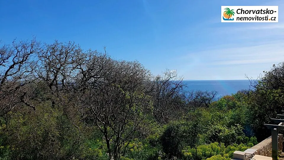 Fotka 6 z 18