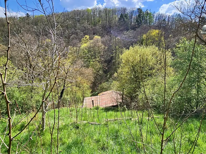 Prodej chaty 24 m², pozemek 889 m², Brno – náhled fotky 2