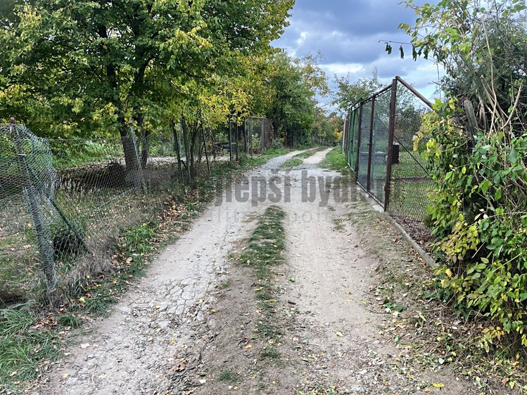 Ostatní