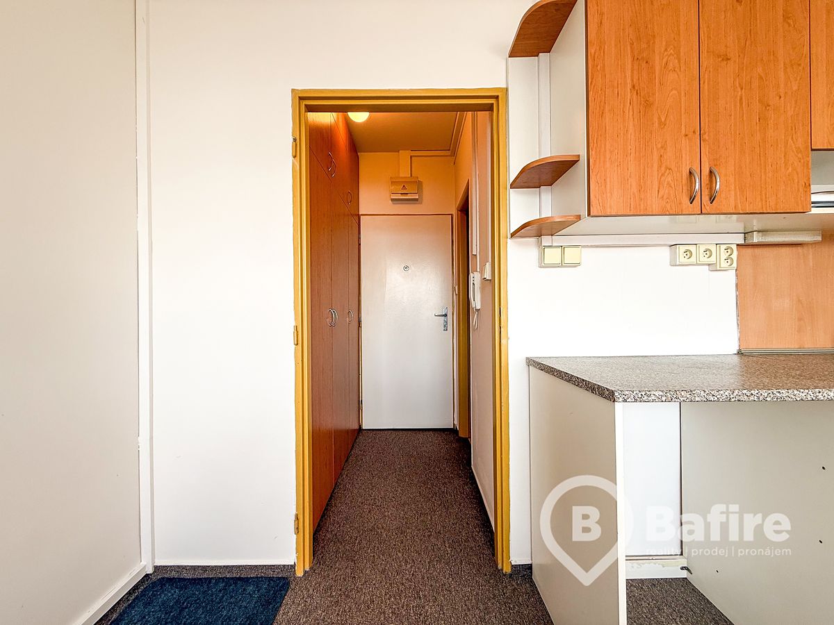 Pronájem bytu 1+kk 20 m²