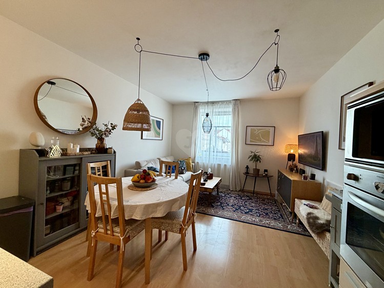 The 2+kk flat for rent, 48 m² (1 of 25)