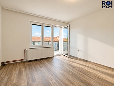 Pronájem bytu 2+1, 54 m² (3 z 18)
