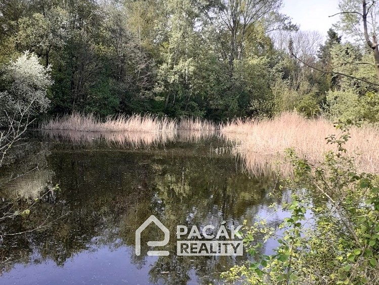 Ділянка на продаж, 15 995 м² (11 з 23)