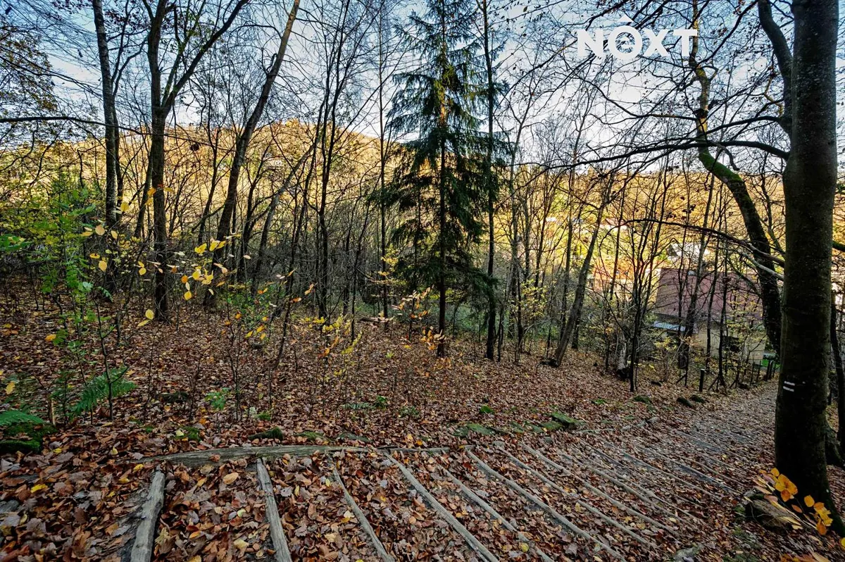 Fotka 10 z 17