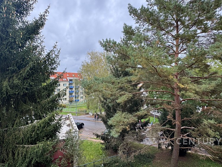 Ostatní