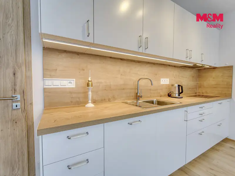 Pronájem bytu 1+kk 41 m², Plzeň – náhled fotky 2