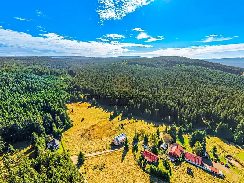 Prodej komerčního pozemku 10387 m², Potůčky – náhled fotky 3