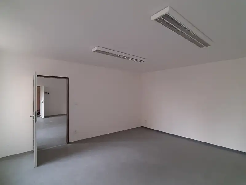 Pronájem komerční nemovitosti 50 m², Lužany – náhled fotky 3