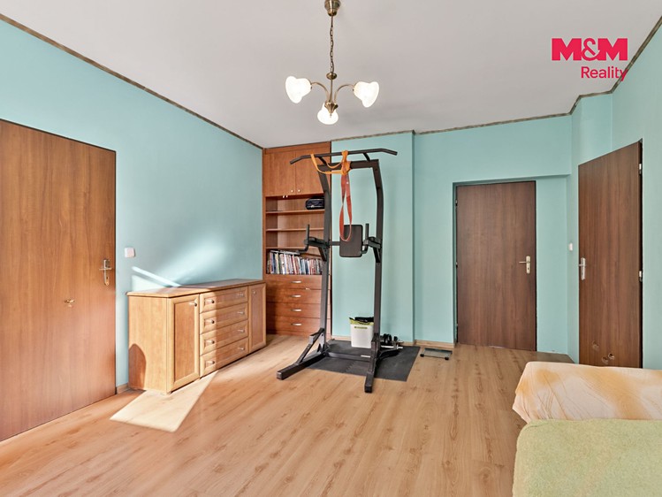 Prodej domu, 450 m² (9 z 30)