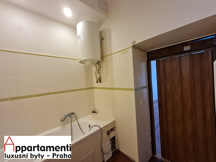 Prodej bytu 1+1, 51 m² (8 z 18)