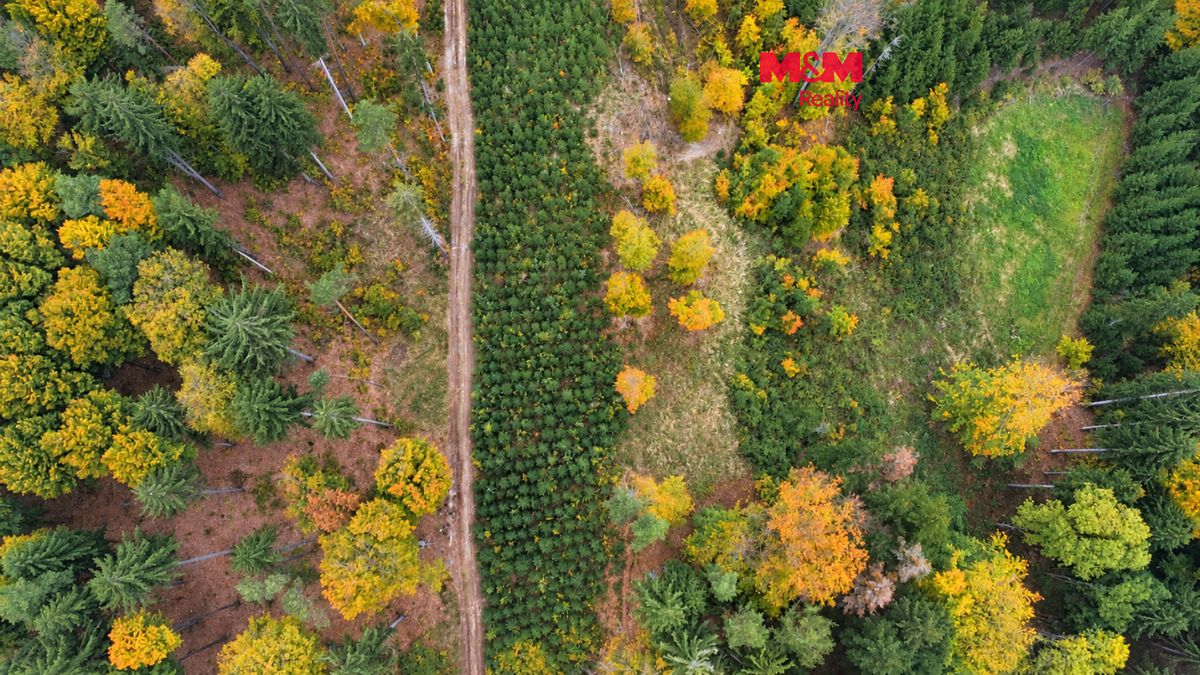 Prodej lesa 4481 m², Luže – fotka 1 z 3