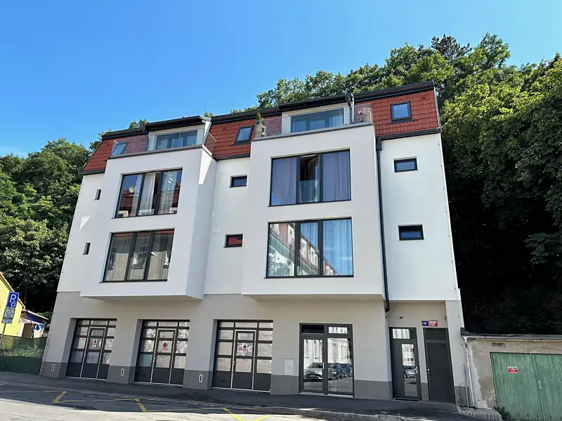 Pronájem bytu 2+kk 50 m², Praha – náhled fotky 1
