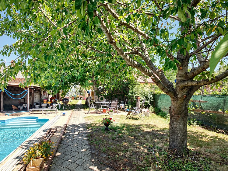 Haus zum Kauf, 165 m² (12 von 50)